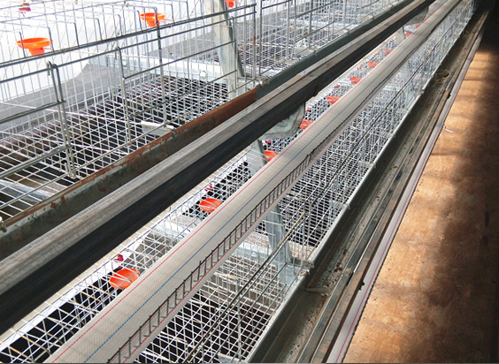 宜城蛋鸡养殖饮水系统